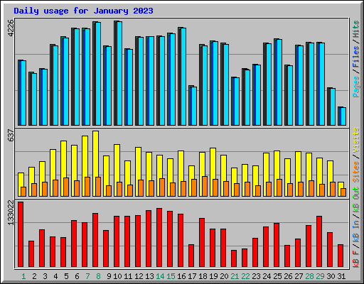 Daily usage for January 2023