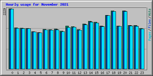 Hourly usage for November 2021