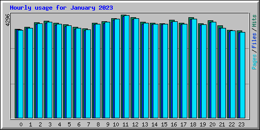 Hourly usage for January 2023