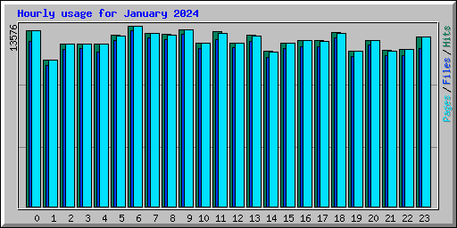 Hourly usage for January 2024