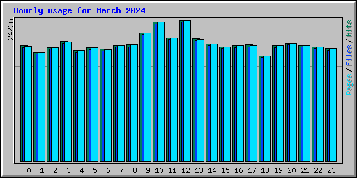 Hourly usage for March 2024
